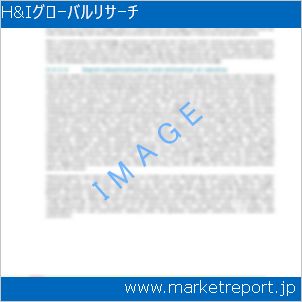 市場と産業調査レポートのイメージ